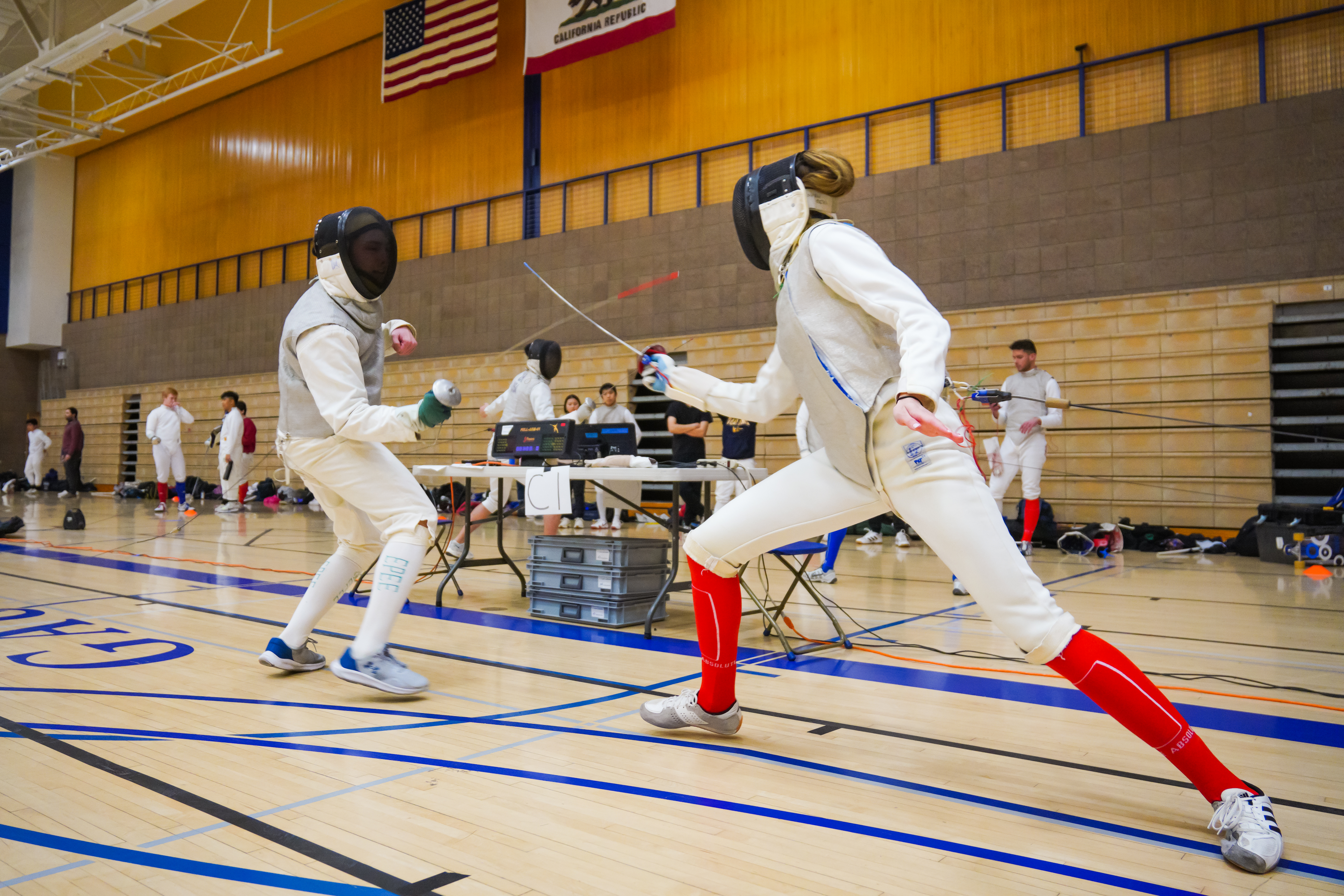 Fencing