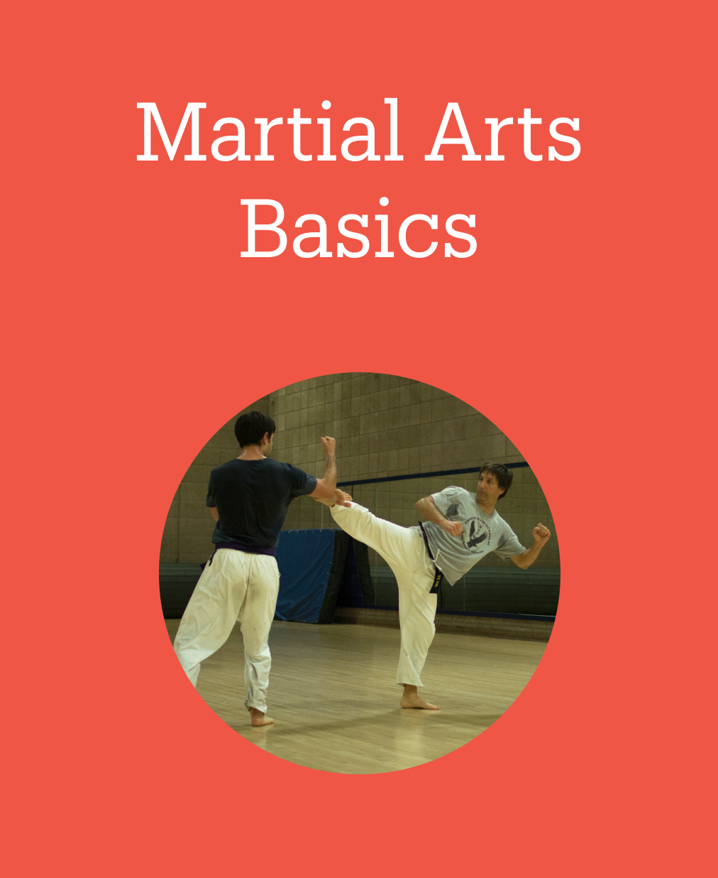 martial arts basics