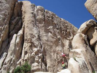 JTREECLIMBING2 JTREECLIMBING2