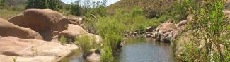 sesep-creek-banner.jpg Sespe Creek Banner