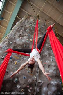 silks silks