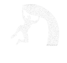 Team Logo Team Logo