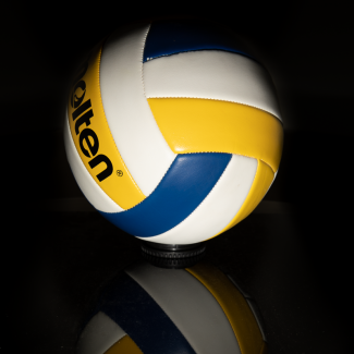 IM Sports Icon_Volleyball