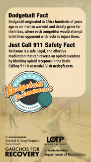Dodgeball Fact Card 1