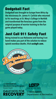 Dodgeball Fact Card 2